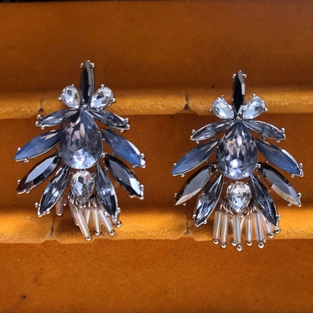 Elegant Silver and Gray Crystal Earrings